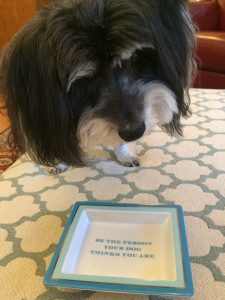 A dog is looking at the box on the floor.